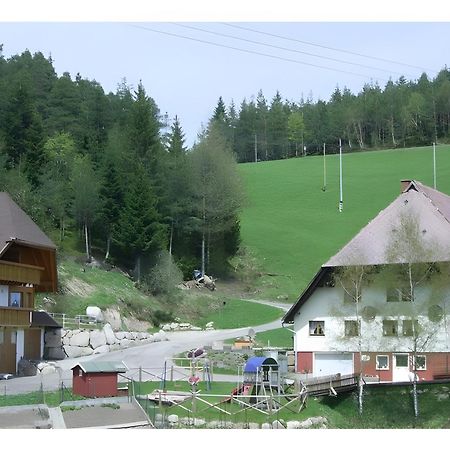 Hinterhauensteinhof Villa Hornberg Buitenkant foto