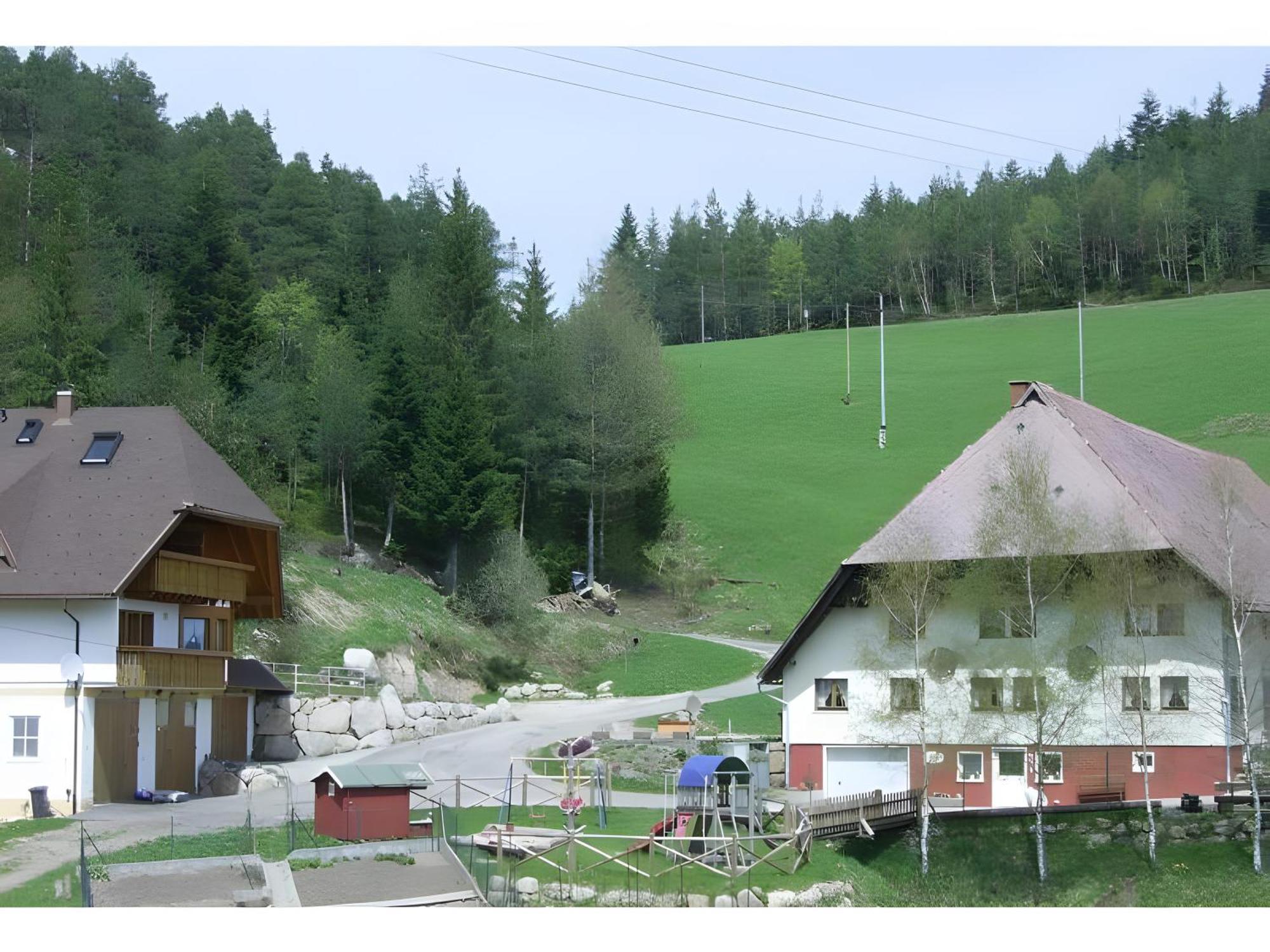 Hinterhauensteinhof Villa Hornberg Buitenkant foto