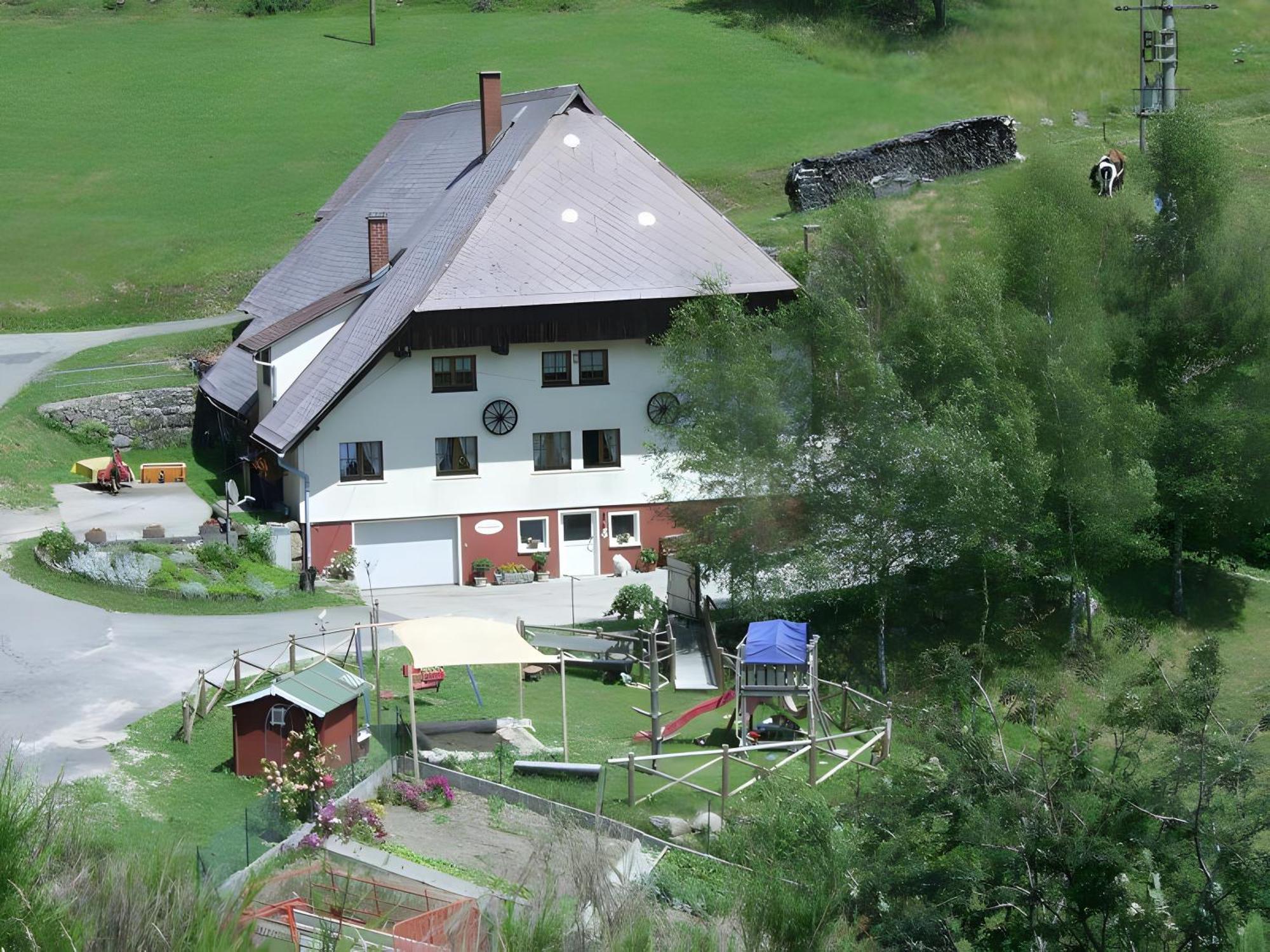 Hinterhauensteinhof Villa Hornberg Buitenkant foto