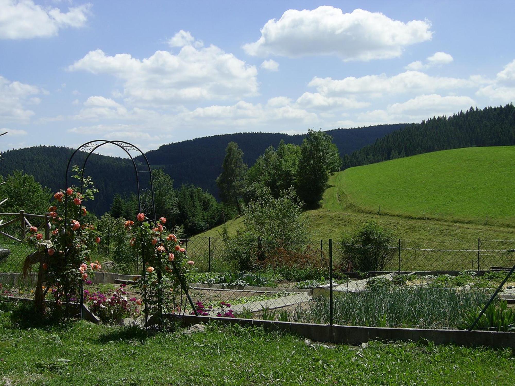 Hinterhauensteinhof Villa Hornberg Buitenkant foto